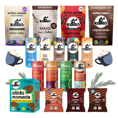 DIY Adventskalender Set