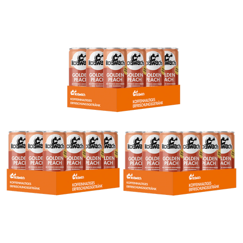 Golden Peach 3er Pack